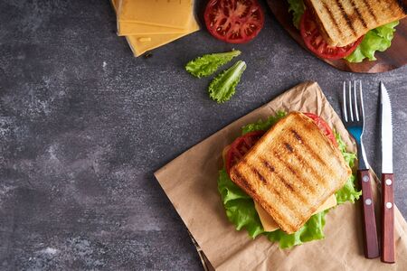 Traditional vegetarian sandwich with tomatoes and cheese on a gray stone background Copy spaceの写真素材