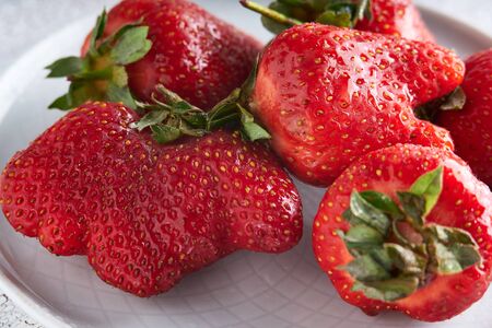 Trendy ugly strawberries in a plate on a light background Close upの写真素材