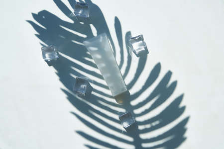 Cosmetic bubble and ice on a background of beautiful palm shadows. Mock upの写真素材