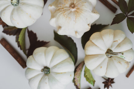 Background of small white and yellow pumpkins on the table. top view mock upの写真素材