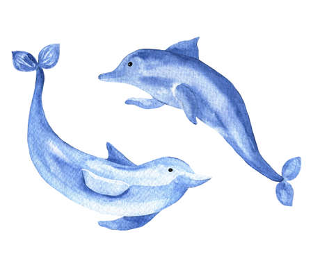 Watercolor set of playful cute jumping dophins. Graphic print. Symbols. Nautical style collection.の写真素材