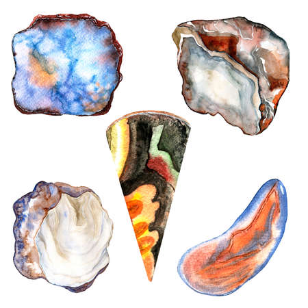 Watercolor set of multicolored seashells and stones. Isolated on white background.の写真素材