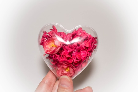glass heart with red flowersの写真素材