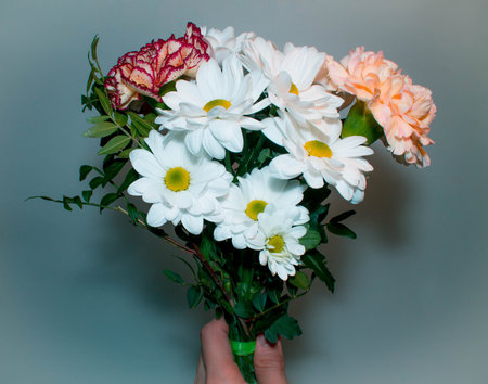 bouquet with white daisy flowers in hand close up on green background
