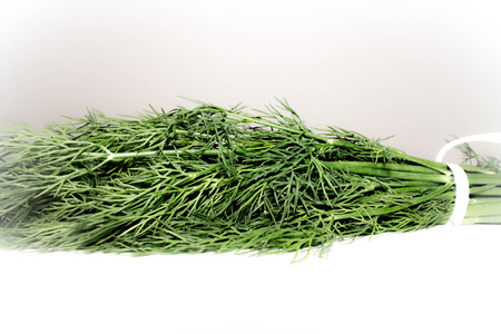 bunch of dill isolated on white backgroundの写真素材