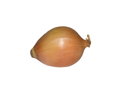 bulb onion isolated on white backgroundの写真素材