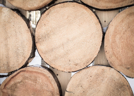 natural wooden planks circles background close up