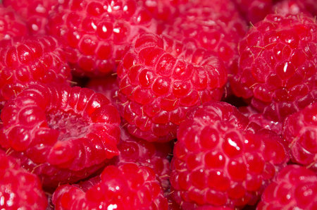 Fresh juicy red raspberry close-up