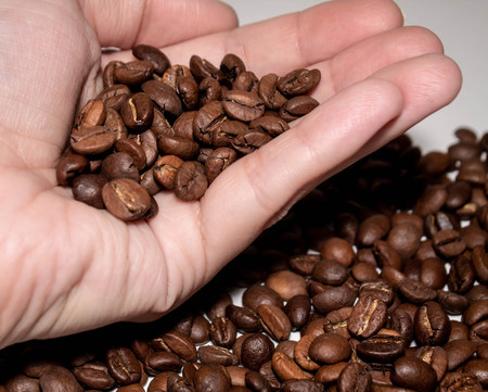 a handful of coffee beansの写真素材