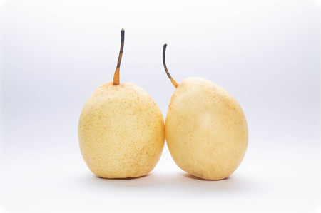 two yellow pears on a blue and white backgroundの写真素材