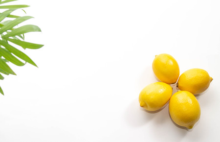 four yellow lemons on white with green backgroundの写真素材