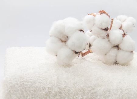white cotton flowers on white cotton towel close upの写真素材