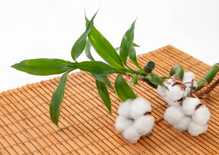 bamboo foliage on bamboo napkinの写真素材