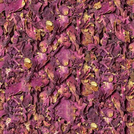 Seamless pink rose flowers textureの写真素材