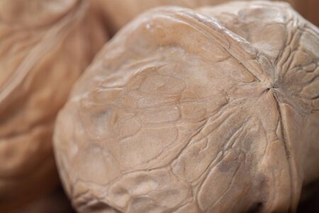 Closed with shell macro walnutの写真素材