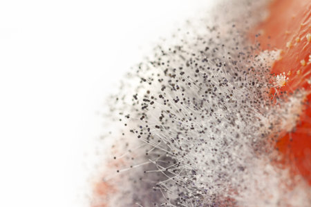 White fungus spores with dark and light round tips isolated neutral background abstract wallpaper