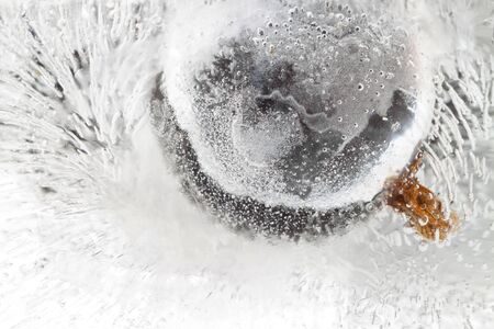 Pure iced frozen currant berry inside crystal cube macro cool wallpaperの写真素材