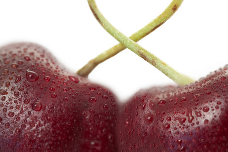 Two fresh cherries with raindrops and sticks connecting isolated on white background closeup macro...