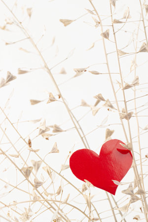 Red paper heart in right corner among shepherd's bag dry flowers branches vertical macroの写真素材
