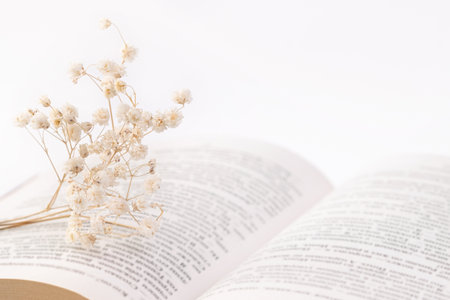 Opened book pages with gypsophila dry romantic little flowers on light background and place for text macroの写真素材