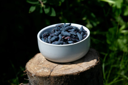 black and blue honeysuckle berries in a white plate on a background of green grassのeditorial素材