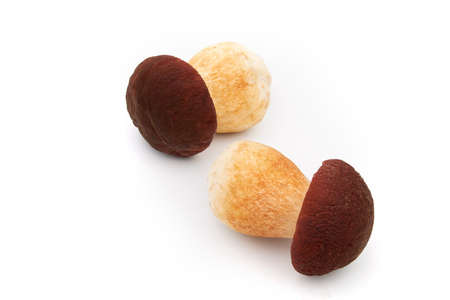 the Royal mushroom on white backgroundの写真素材