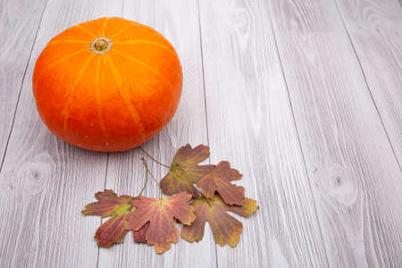 Pumpkin and autumn leaves isolated on a wooden backgroundの写真素材