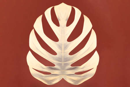 Leaf monsters from the tropical jungle on a yellow background. Space for text.の写真素材