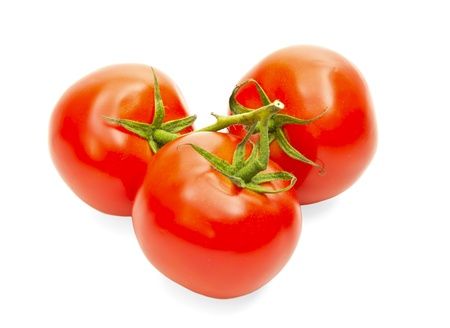 branch of ripe red tomatoes isolated on white backgroundの写真素材