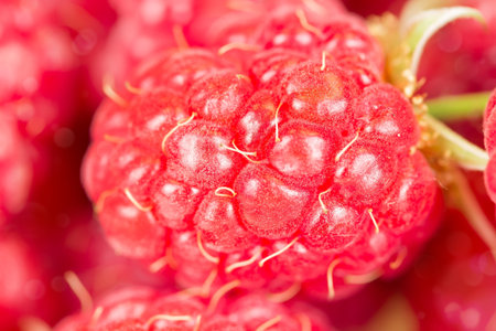 Ripe juicy raspberries  Texture close-up  Shallow depth of field 
