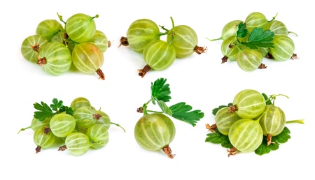 Set of gooseberry isolated on white backgroundの写真素材