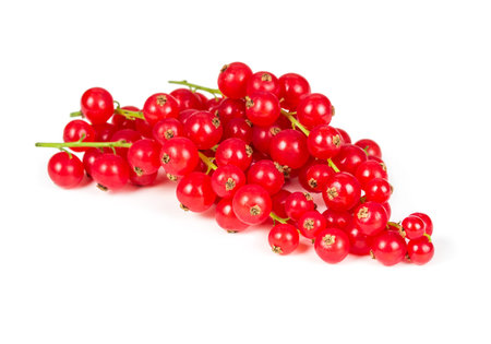 Sprig of red currant isolated on white background