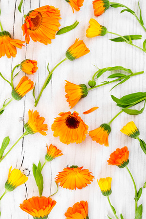 Flat lay composition with flowers calendula on rustic wooden background.の写真素材