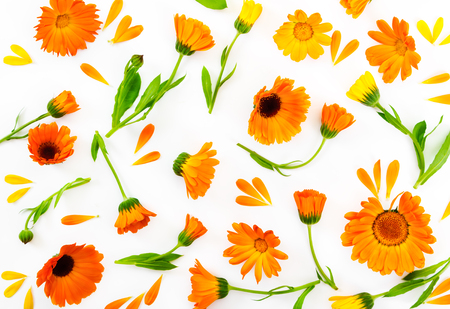 Flat lay composition with flowers calendula on white background. Love concept. Top view.の写真素材