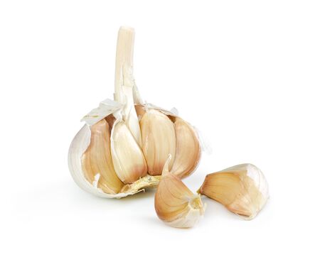 Fresh garlic isolated on white background. Close-up.の写真素材