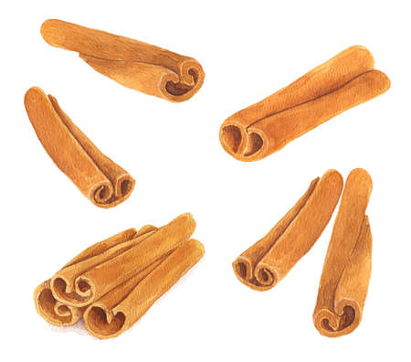 Set of cinnamon sticks isolated on white background. Hand drawn watercolor illustration.の写真素材