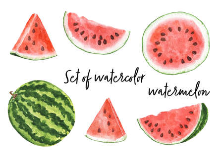 Set of watercolor watermelon isolated on white background. Hand drawn watercolor illustration.の写真素材