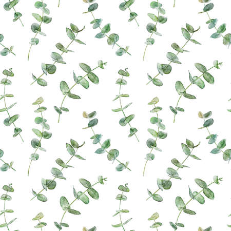 Watercolor seamless pattern with branches of eucalyptus isolated on white background. Hand drawn watercolor illustration.の写真素材
