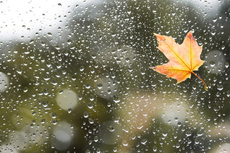 Fallen maple leaf on the window with raindrops in the autumn rainy day. Symbol of autumn.