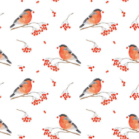 Seamless pattern with watercolor bullfinch with berry in its beak sits on snow-covered branch of rowan isolated on white background. Hand drawn watercolor illustration.の写真素材