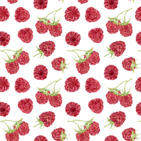 Seamless pattern with watercolor raspberries isolated on white background. Hand drawn watercolor illustration. Can be used for textile, wrapping paper, scrap book paper, invitations and other.の写真素材