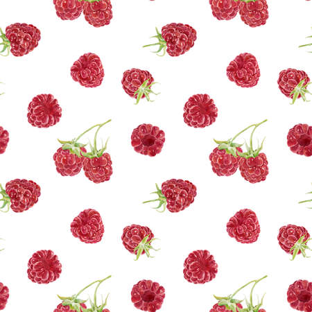 Seamless pattern with watercolor raspberries isolated on white background. Hand drawn watercolor illustration. Can be used for textile, wrapping paper, scrap book paper, invitations and other.の写真素材