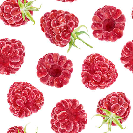 Seamless pattern with watercolor raspberries isolated on white background. Hand drawn watercolor illustration. Can be used for textile, wrapping paper, scrap book paper, invitations and other.の写真素材