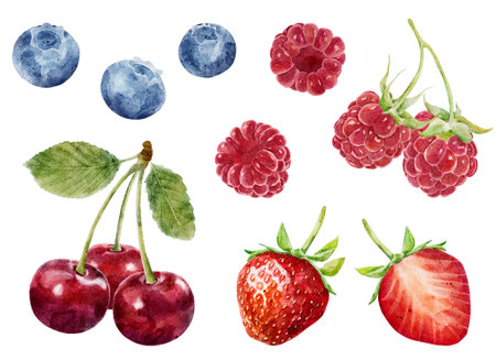 Set of watercolor berries - strawberry, cherry, blueberry and raspberry isolated on white background. Hand drawn watercolor botanical illustration.の写真素材