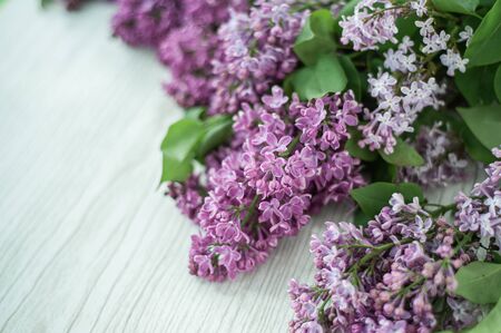 Lilac on a gray wooden background.の写真素材