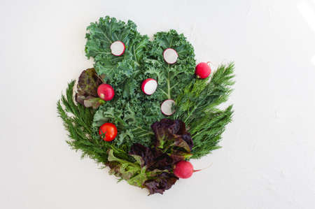 Vegan food. Composition of kale cabbage, herbs and radishes on a white background. Healthy food. vegetarianism. View from above.の写真素材