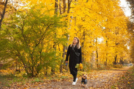 A beautiful woman in a black coat and white sneakers walks through the autumn park with a small...