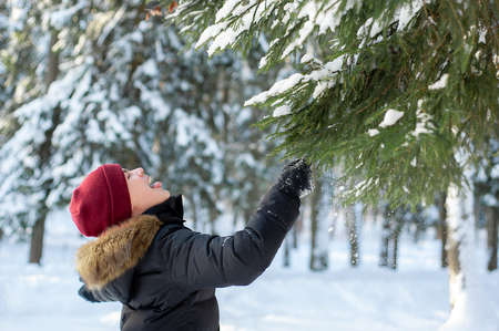 A teenage boy walks in a winter snow-covered forest on a sunny day and catch the snow with his mouth. Winter walks and games. A place for text.の写真素材