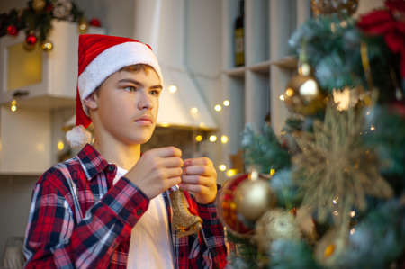 A Teenage Caucasian boy in a Santa hat decorates a Christmas tree in the home interior. Close-up and selective focus. Preparing for Christmas.の写真素材