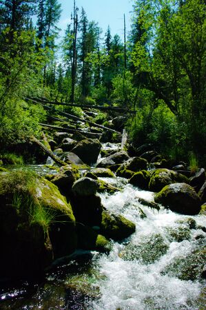 Beautiful nature of Russia: clean fast riverの写真素材